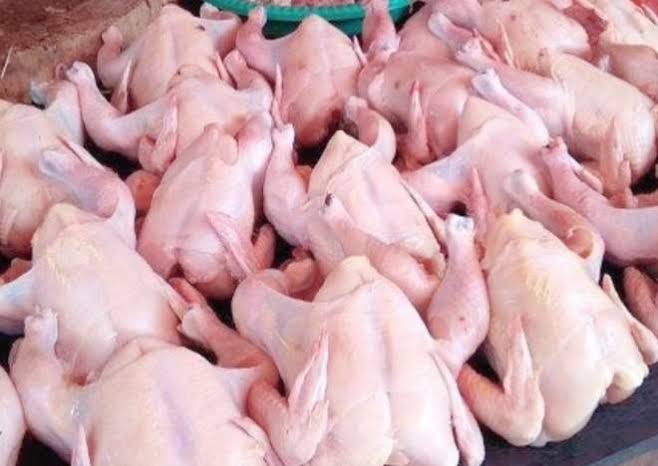 DAGING AYAM