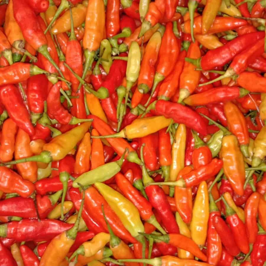 CABE RAWIT MERAH